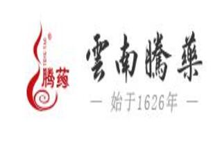 云南騰藥制藥股份有限公司