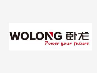 臥龍電氣驅(qū)動集團股份有限公司