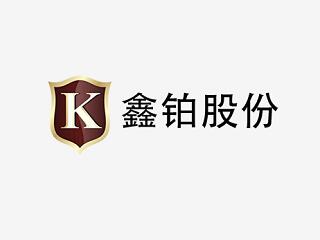 安徽鑫鉑鋁業(yè)股份有限公司